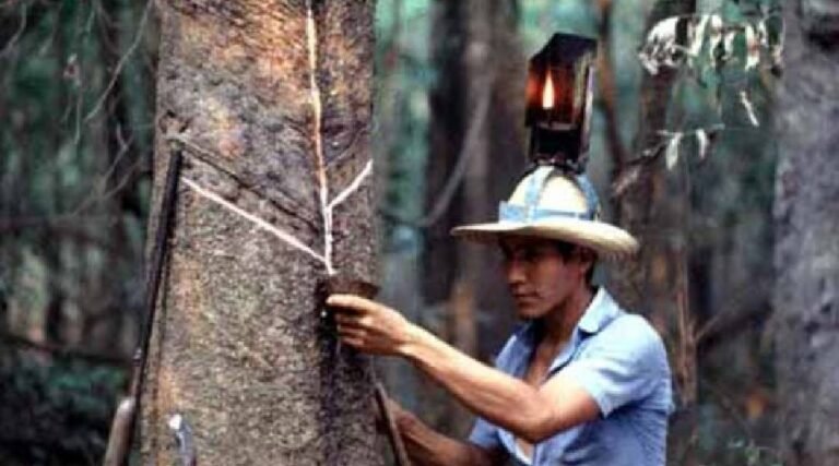 Soldados da Borracha podem receber 13º