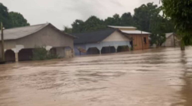 Vídeo: Em Jordão, enchente já deixa casas quase totalmente submersas