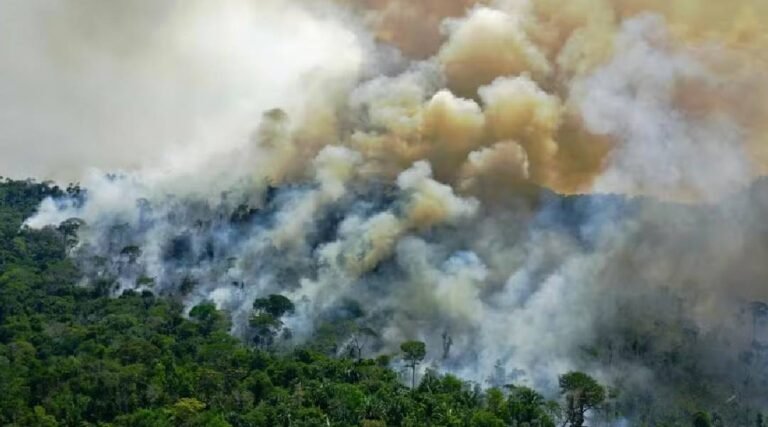 Queimadas crescem 248% no Brasil em janeiro e atingem mais de 1 milhão de hectares