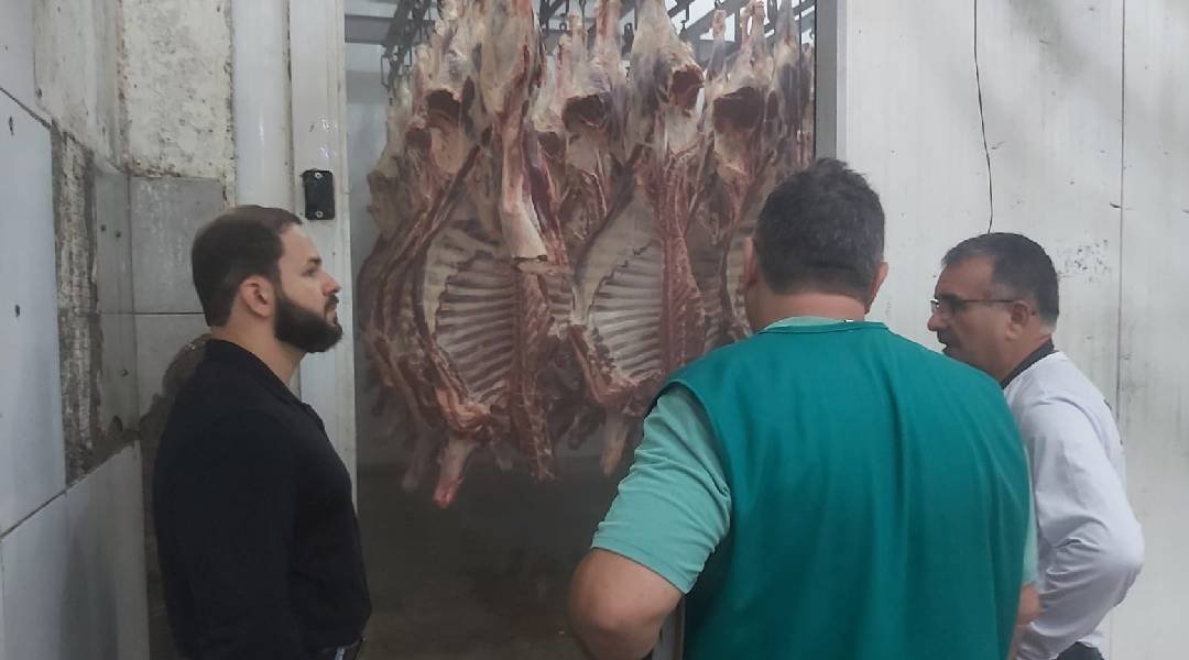 Novo Projeto (80)