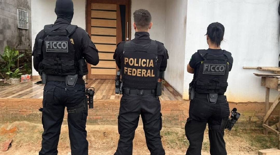 Novo Projeto (81)