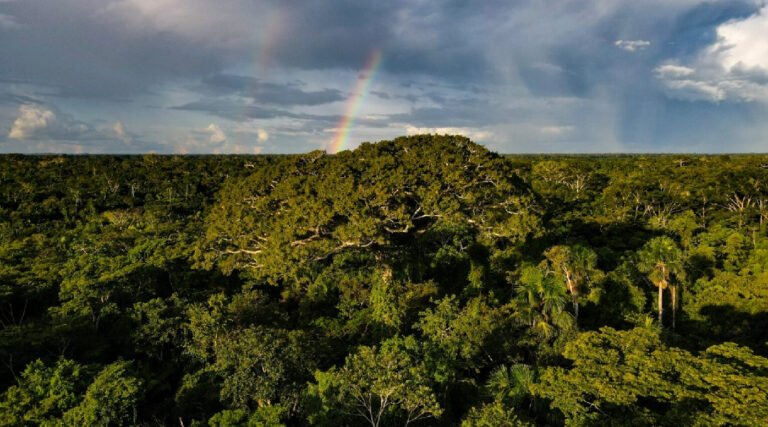 Ministério do Meio Ambiente declara Situação de Emergência Ambiental por risco de incêndios florestais no Acre e em outras regiões do país
