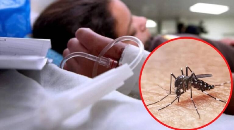 Mulher parda de 30 a 59 anos: o perfil das quase 4,5 mil atingidos pela dengue no Acre