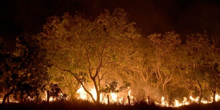 roraima-tem-45%-do-total-de-focos-de-queimadas-do-pais-em-fevereiro