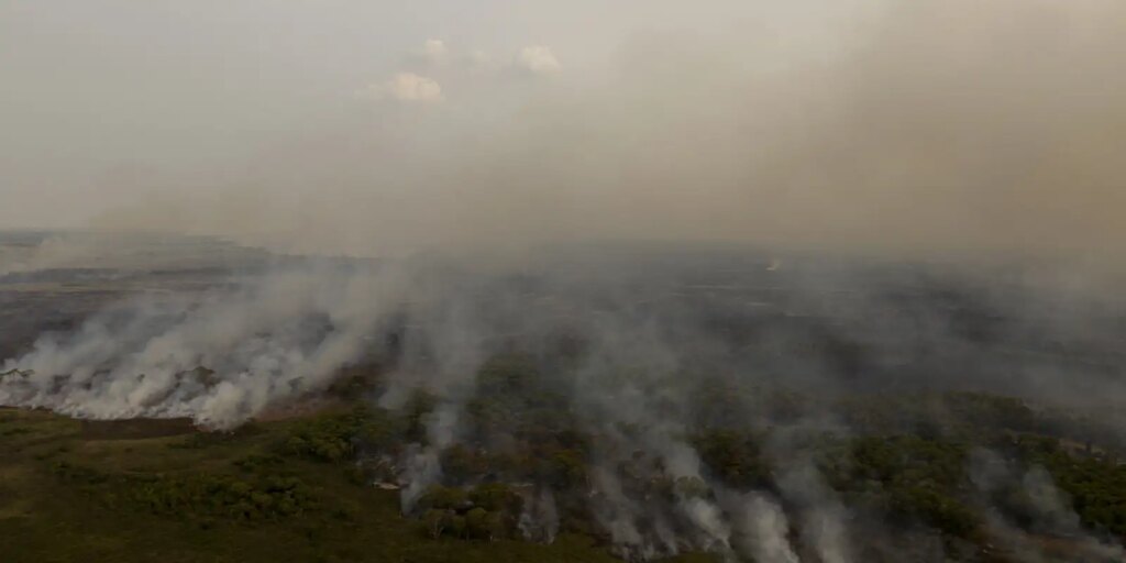 pl-que-muda-codigo-florestal-vai-desproteger-48-milhoes-de-hectares