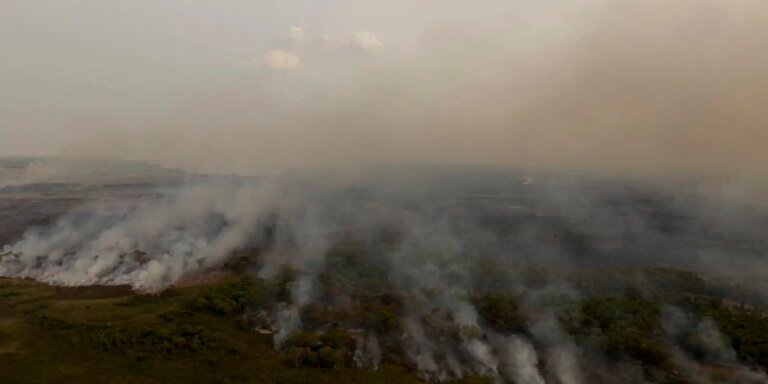 pl-que-muda-codigo-florestal-vai-desproteger-48-milhoes-de-hectares