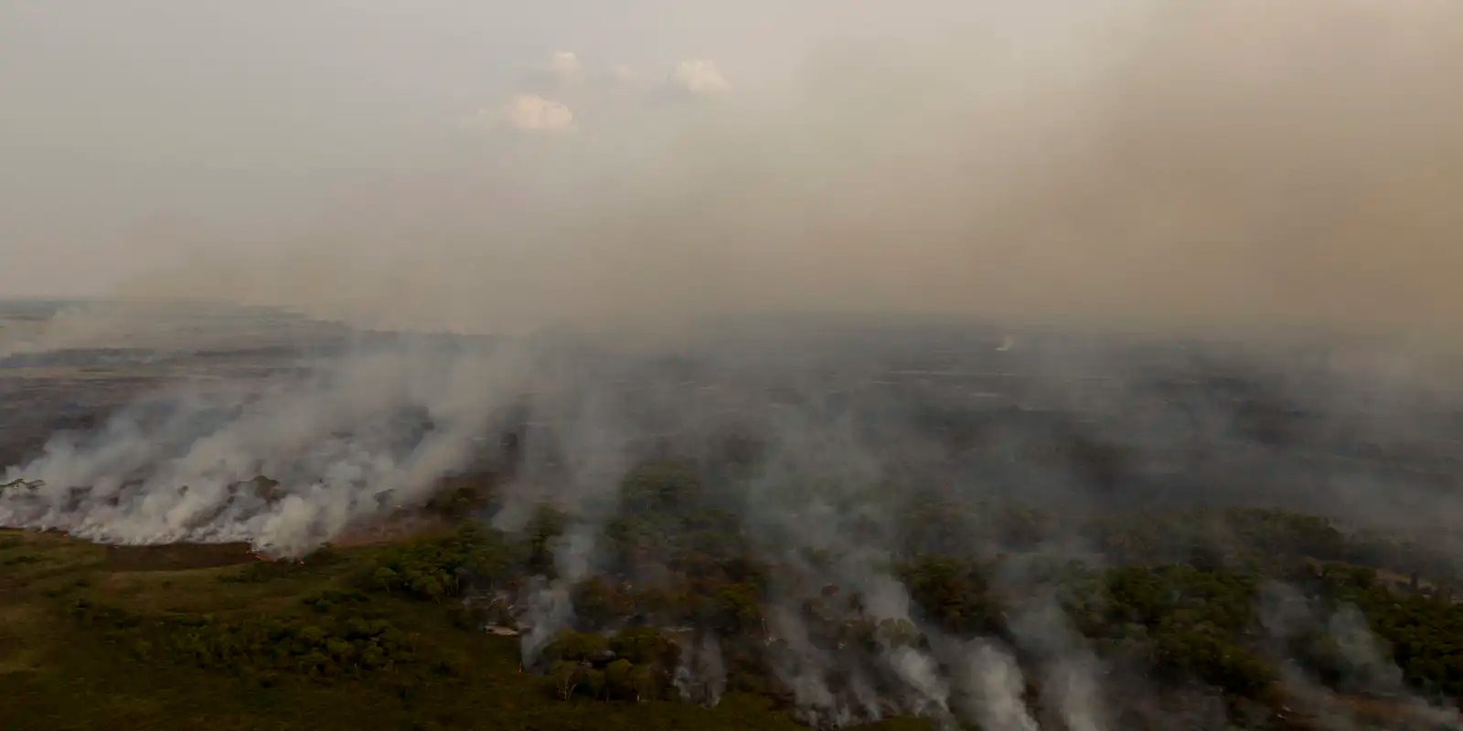 pl-que-muda-codigo-florestal-vai-desproteger-48-milhoes-de-hectares