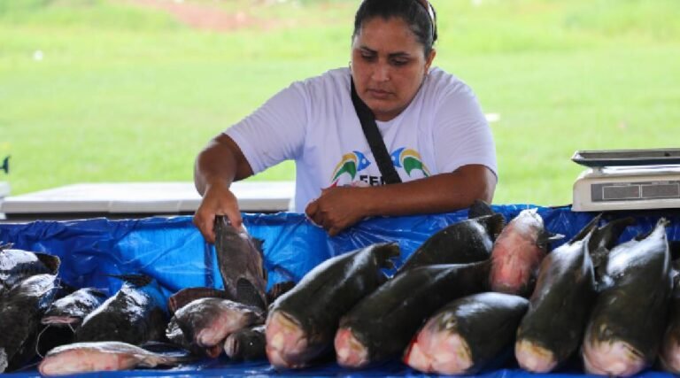Sebrae apoia Feiras do Peixe em nove municípios do Acre
