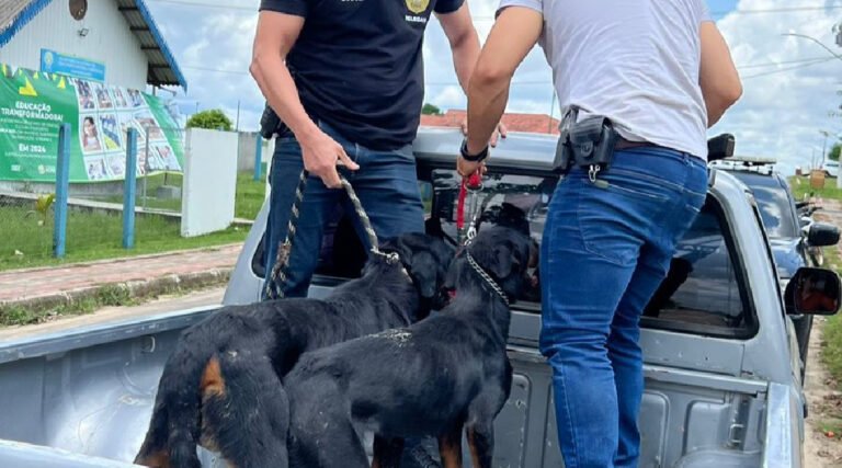 Polícia Civil resgata cães vítimas de maus-tratos em Rodrigues Alves