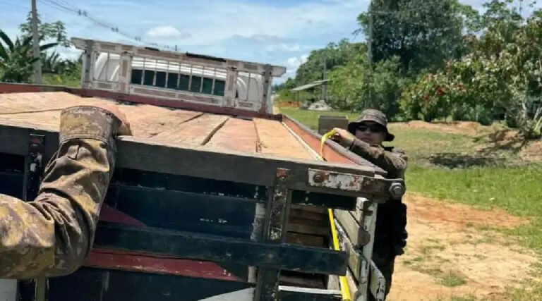 Polícia Militar apreende caminhão com madeira irregular durante patrulhamento na BR-307