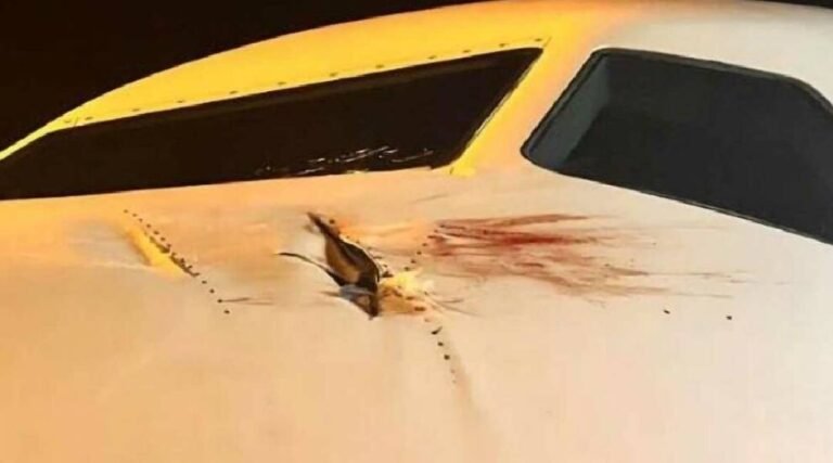 Especialistas dizem qual o incidente com aviões mais registrado no Acre nos últimos dois anos