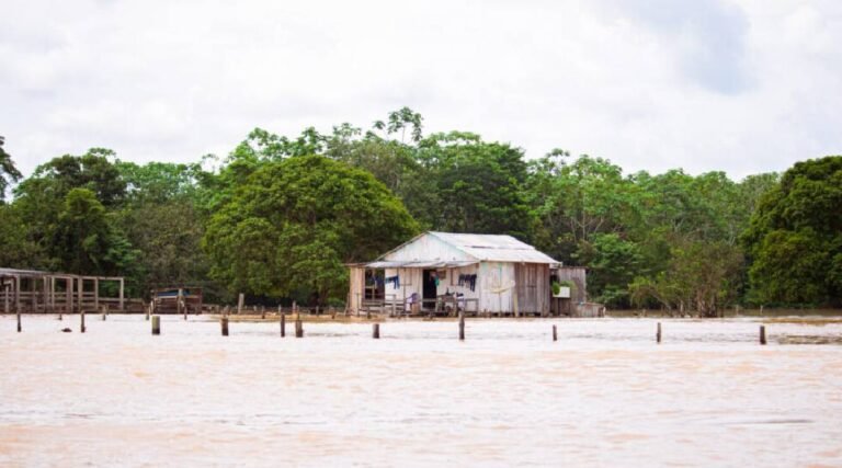 Rios Tarauacá e Muru apresentam sinais de vazante