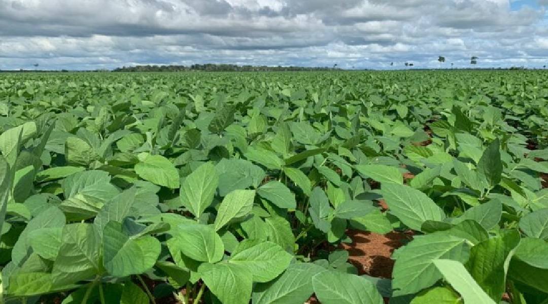 Novo Projeto - 2024-04-15T090956.888