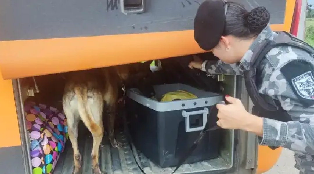 Novo Projeto - 2024-04-15T203817.161