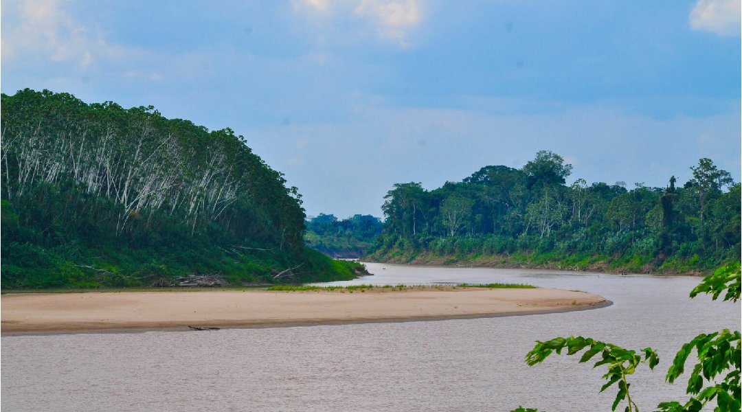 Novo Projeto - 2024-04-17T190531.780