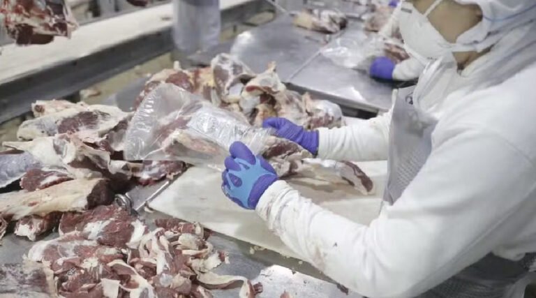 Produção de carne bovina pode chegar a 120 mil toneladas no Acre em 2024, diz estudo
