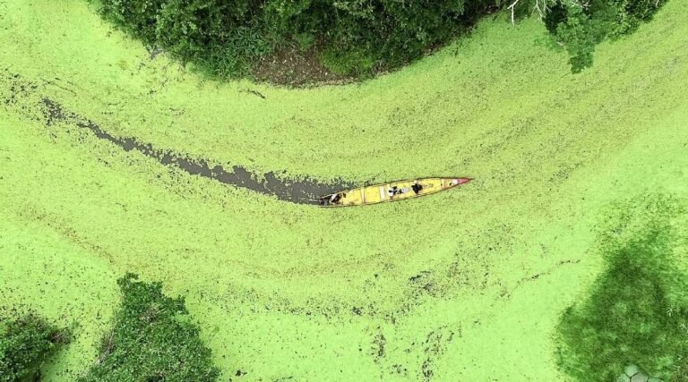 Com aumento de mais de 20%, Acre foi o estado com a maior variação no faturamento com turismo do país