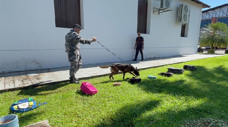 Primeira “Cãominhada” em Cruzeiro do Sul reúne defensores dos animais em prol da causa