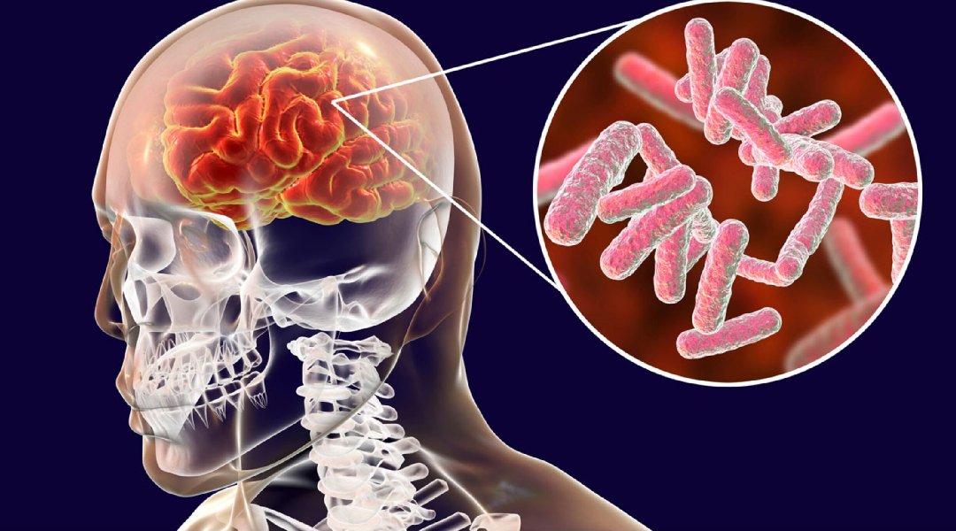 Novo Projeto - 2024-05-08T090423.043