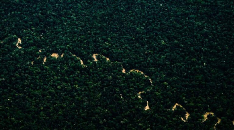 Com queda de 28% nos números, Acre alcança a menor taxa registrada de desmatamento desde 2019