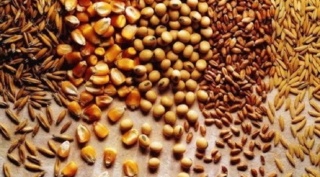 Novo Projeto - 2024-05-15T185323.017