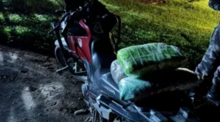  Equipe policial apreende 3 quilos de maconha na BR-364 durante operação em Tarauacá