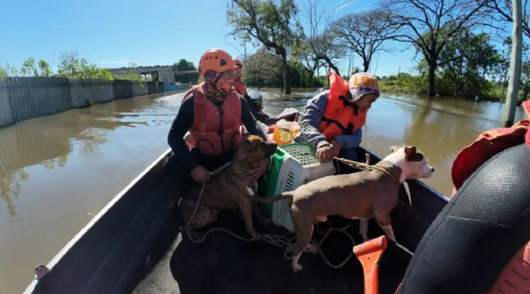 Bombeiros do Acre já salvaram 20 pessoas e 3 animais no Rio Grande do Sul