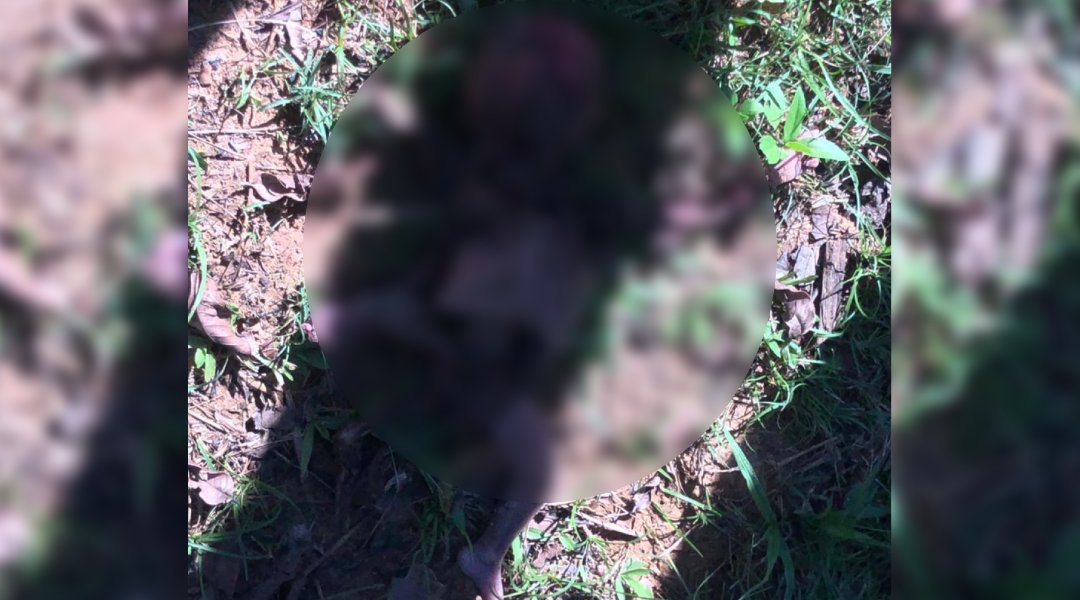 Novo Projeto - 2024-06-01T093922.593