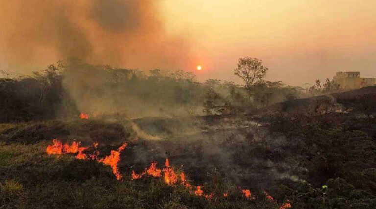 Acre já acumula sete focos de incêndios florestais no início de junho