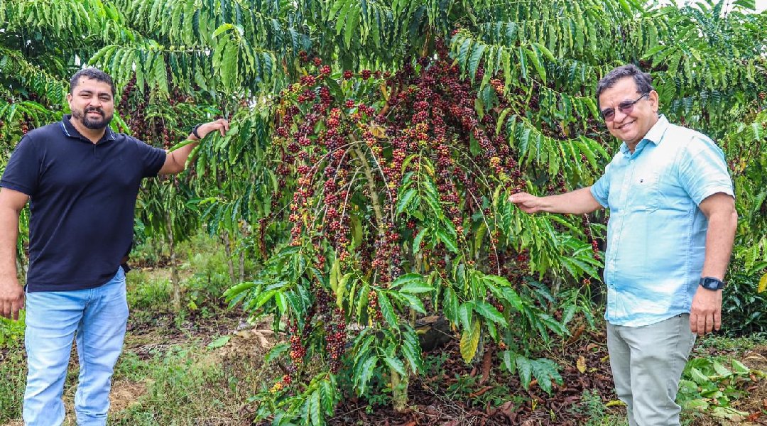 Novo Projeto - 2024-06-10T102532.667