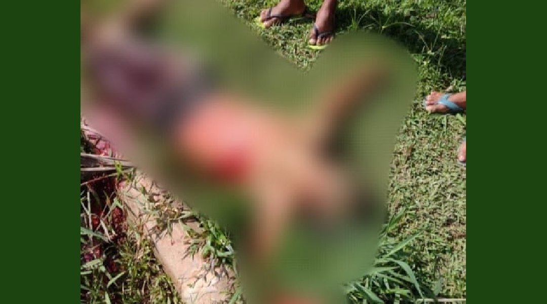 Novo Projeto - 2024-06-16T220849.135