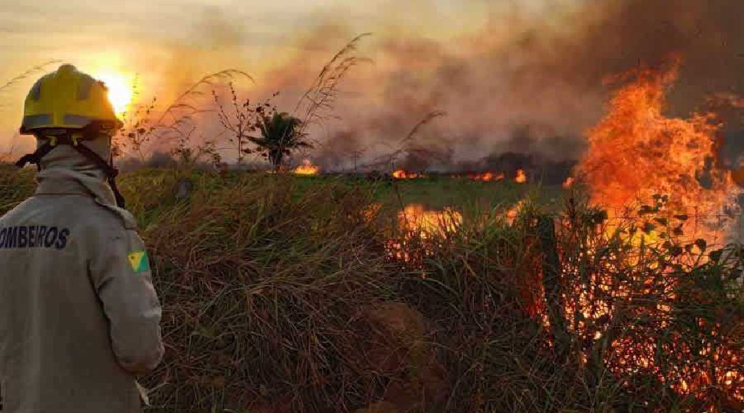 Novo Projeto - 2024-06-25T201452.828