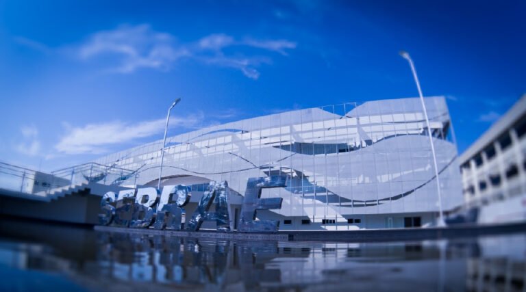 Sebrae é destaque na celebração do Dia Internacional das Micro, Pequenas e Médias Empresas