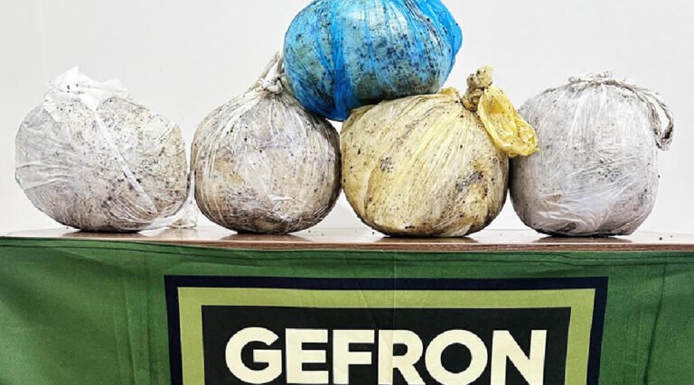 GEFRON atua no Juruá e apreende 5 kg de entorpecentes em primeira ação na região