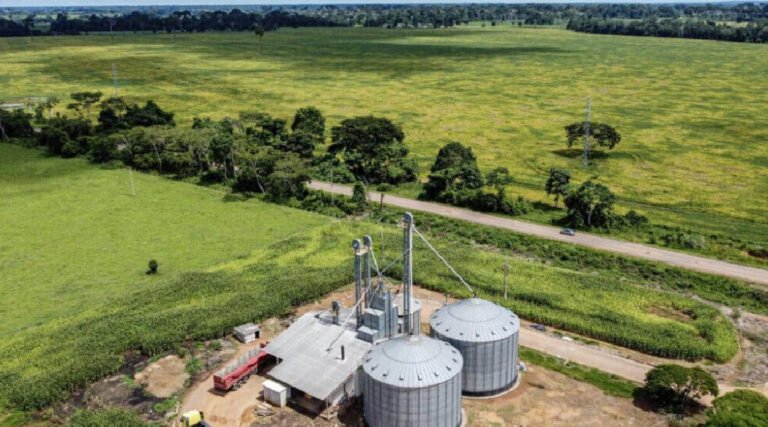 Estimativa da safra no Acre salta para 188,5 mil toneladas