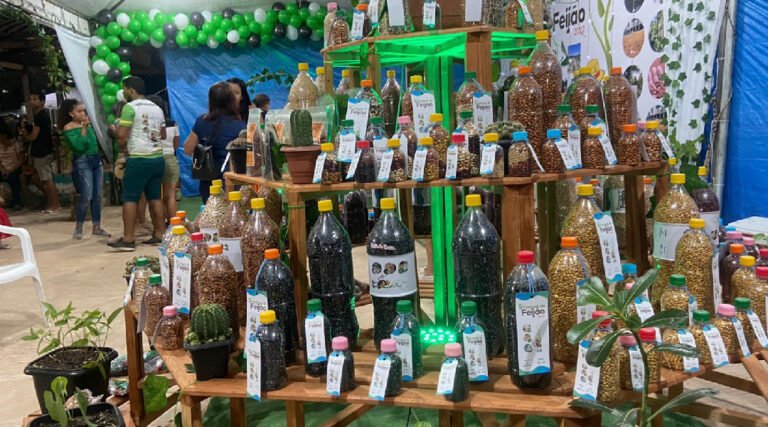 VII Festival do Feijão promove o incentivo a agricultura familiar e culinária local