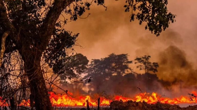 Acre passa de 100 focos de queimadas em 2024, índice 200% maior que o ano passado