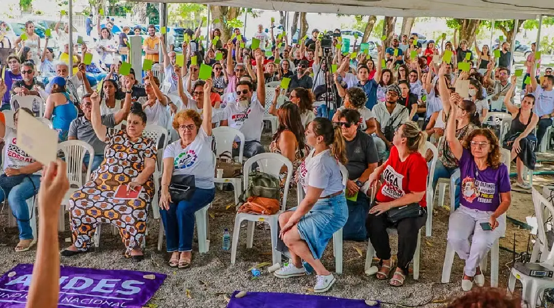 Novo Projeto (81)