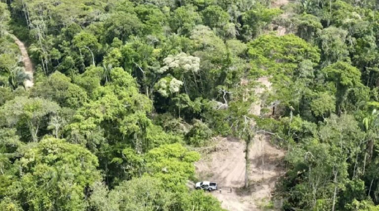 Justiça Federal exige comprovação de suspensão de melhorias no Ramal Barbary; Estado se posiciona