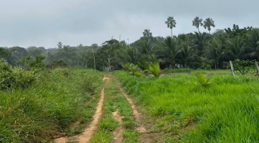 Novo Projeto - 2024-07-06T184340.275