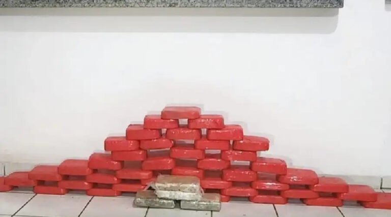 Operação conjunta resulta na apreensão de quase 50 kg de drogas em Rodrigues Alves