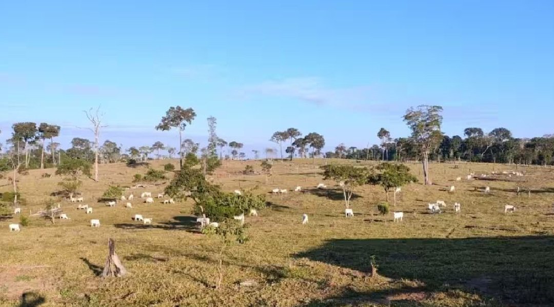 Novo Projeto - 2024-07-16T114433.830