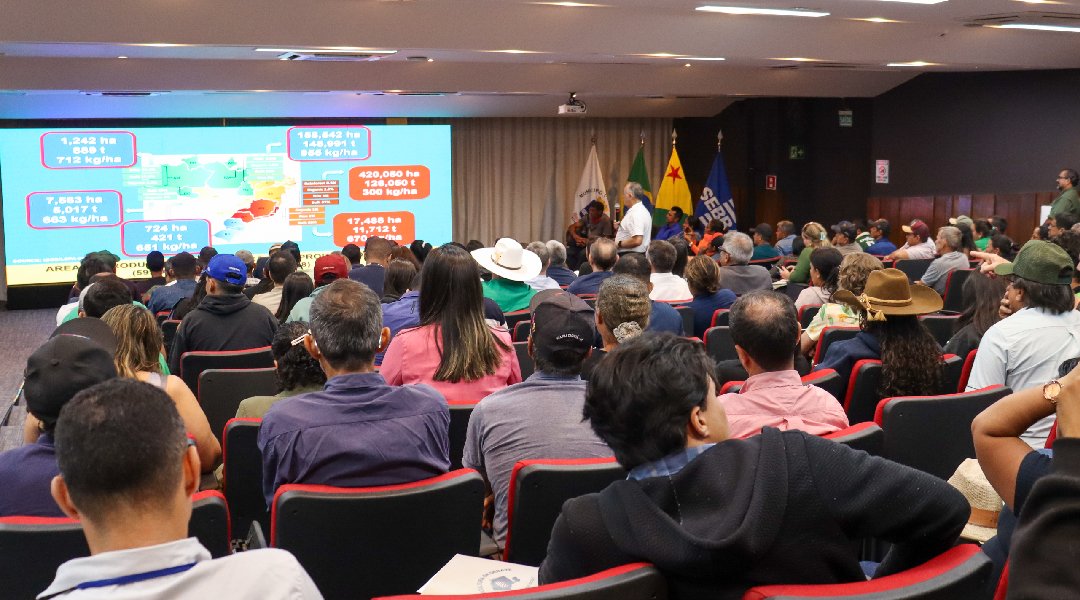 Novo Projeto - 2024-07-18T091802.334