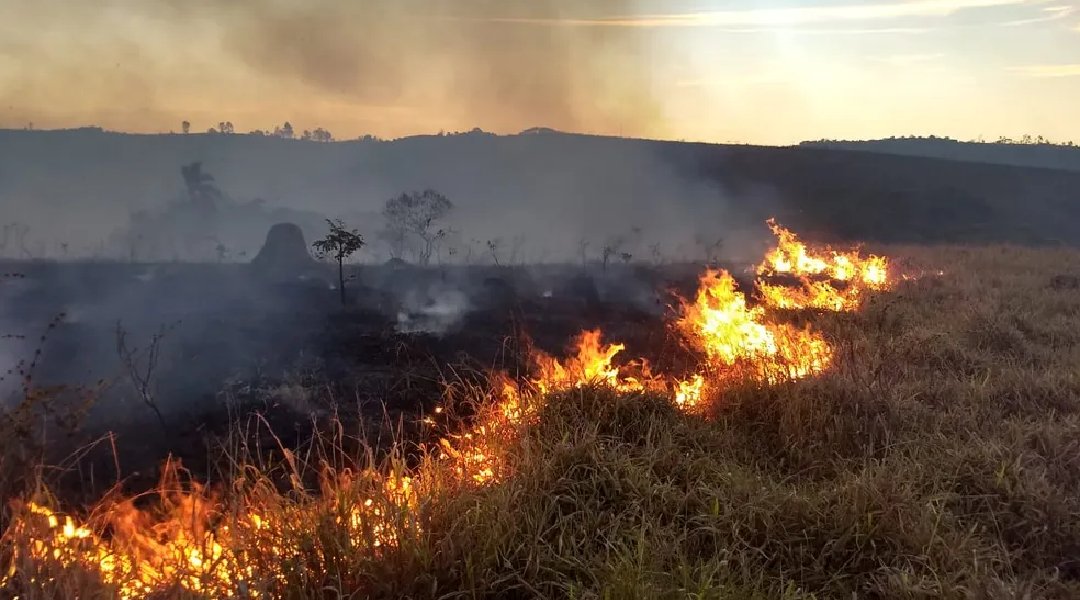 Novo Projeto - 2024-07-24T185527.845