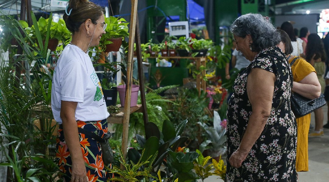 Novo Projeto - 2024-07-25T170836.017