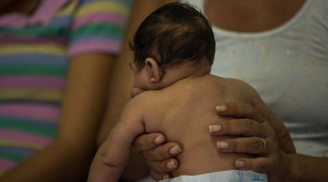 Novo Projeto - 2024-07-25T175850.659