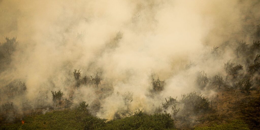 defesa-civil-de-sp-emite-alerta-para-risco-de-incendios-florestais