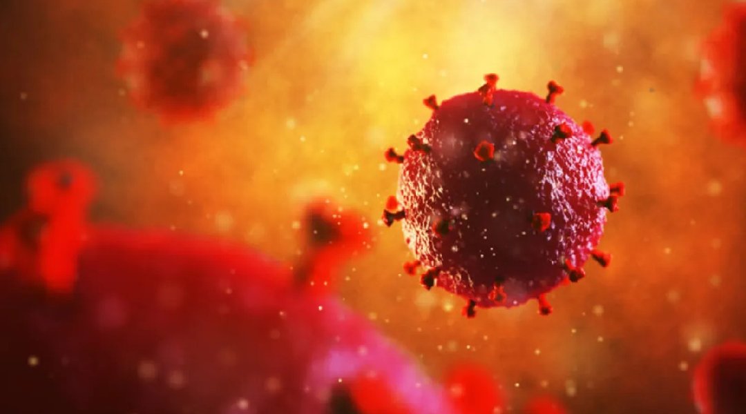 Novo Projeto - 2024-08-17T201222.079