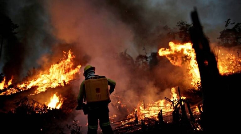 Ibama autoriza contratação de brigadas federais para combate a incêndios no Acre