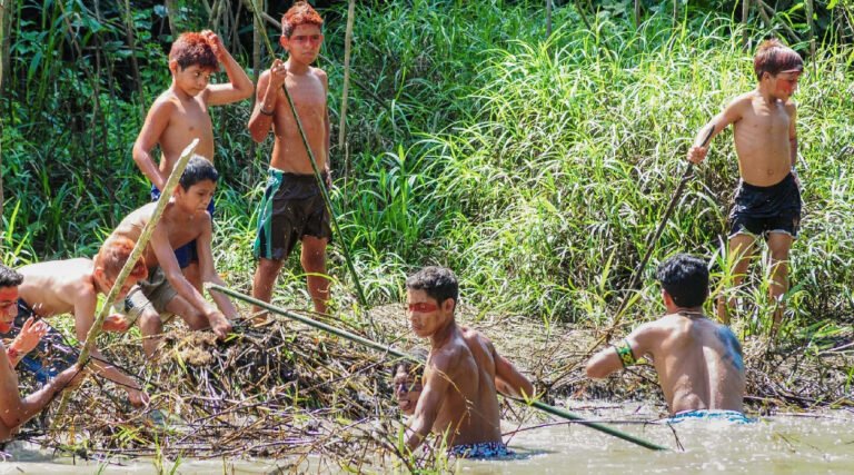 Governo cria programa de bolsas ‘Jovem Cientista da Pesca Artesanal’